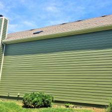 Mountain Sage 10